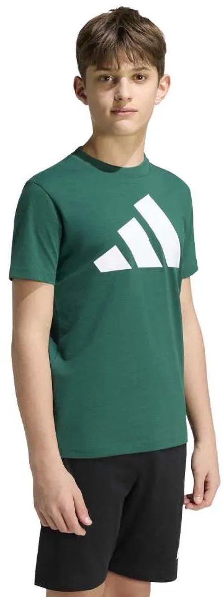 Adidas Essentials Big Logo T-shirt Met Korte Mouwen 13-14 Years Kinderen Groen