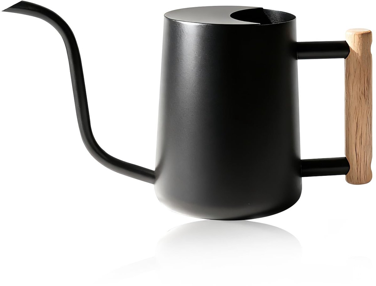 Dailygoods - Bamworld Gieter 1L Binnenplanten, Kleine Roestvrije Stalen Gieter met Houten Handvat, Lange Tuit voor Binnen en Buiten, Zwarte Bloemen