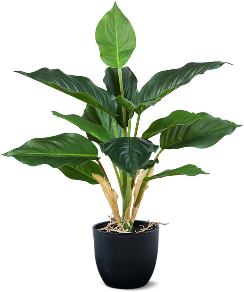 Dailygoods- Kunstplant 39 cm - Kunstplant in pot - Decoratieve Planten - Kunstplanten voor binnen - Kunstmatige Plastic Plant - Hoogwaardig Kunststof - Nepplant