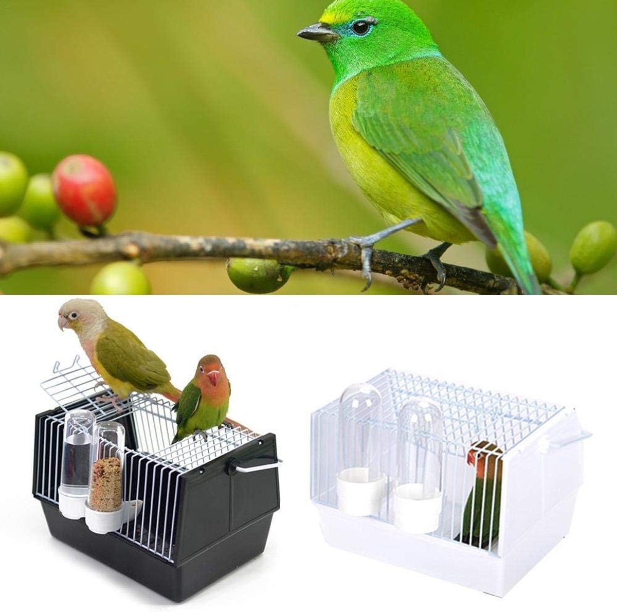 Draagbare Vogelkooi - Dierentransport - Vervoer Vogels - Driezijdige Ventilatie - 21 x 13 x 13 cm - Zwart