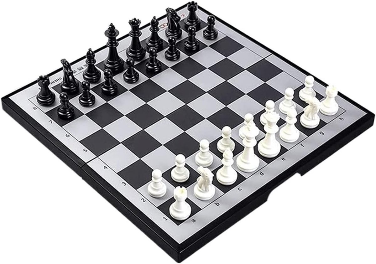 Magnetisch Schaakspel - Reis Schaakbord - Strategisch Spel - Vouwbaar Bord - Volledige Grootte - Niet gespecificeerd