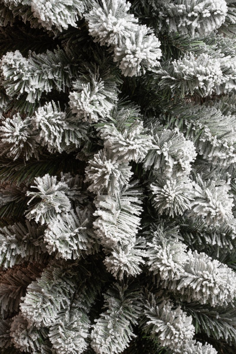Black Box Trees Charlton - smalle kunstkerstboom met sneeuw groen 1,55m x 48cm