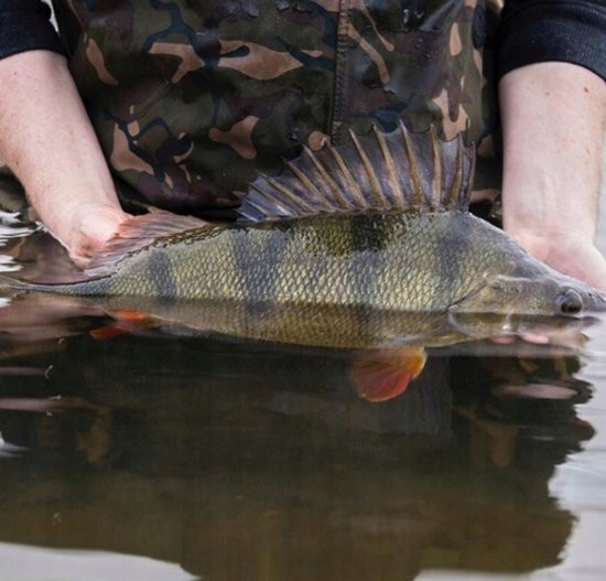 Merkloze Rubberen Visimitatie 50mm - Perfect voor Baars & Forel — afbeelding 2