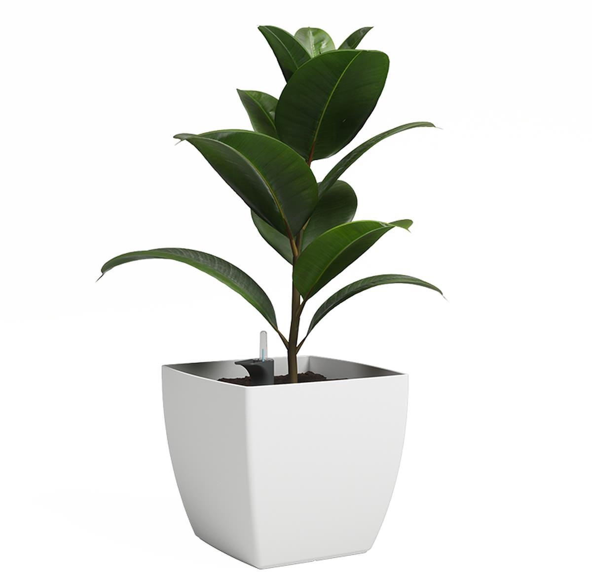 ARTEVASI – Siena SWS 40 – Bloempot – Zelfwaterend – 41,5 L