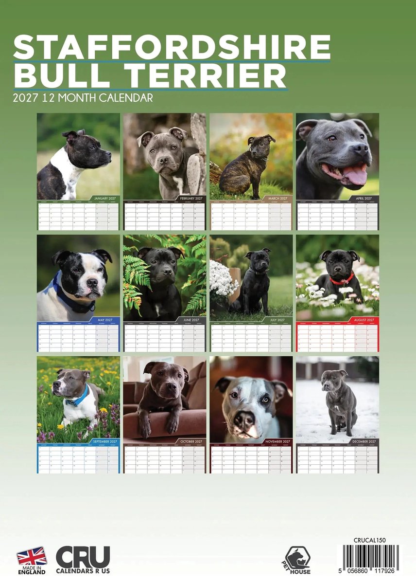 Staffordshire Bull Terrier A3 Kalender 2027