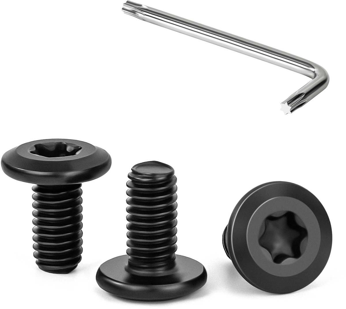 Elzusha - 30 Stuks Platte Kopschroeven M6 x 12 mm - Roestvrijstaal Torx met T30 Sleutel