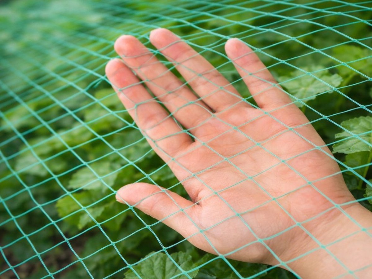 tuinnet, Vogelnet – 2x5m Beschermnet voor Tuin, Struiken en Fruitbomen
