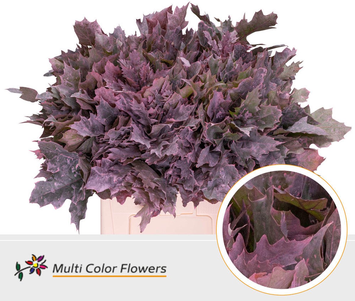 20x Sg quercus roze 60cm