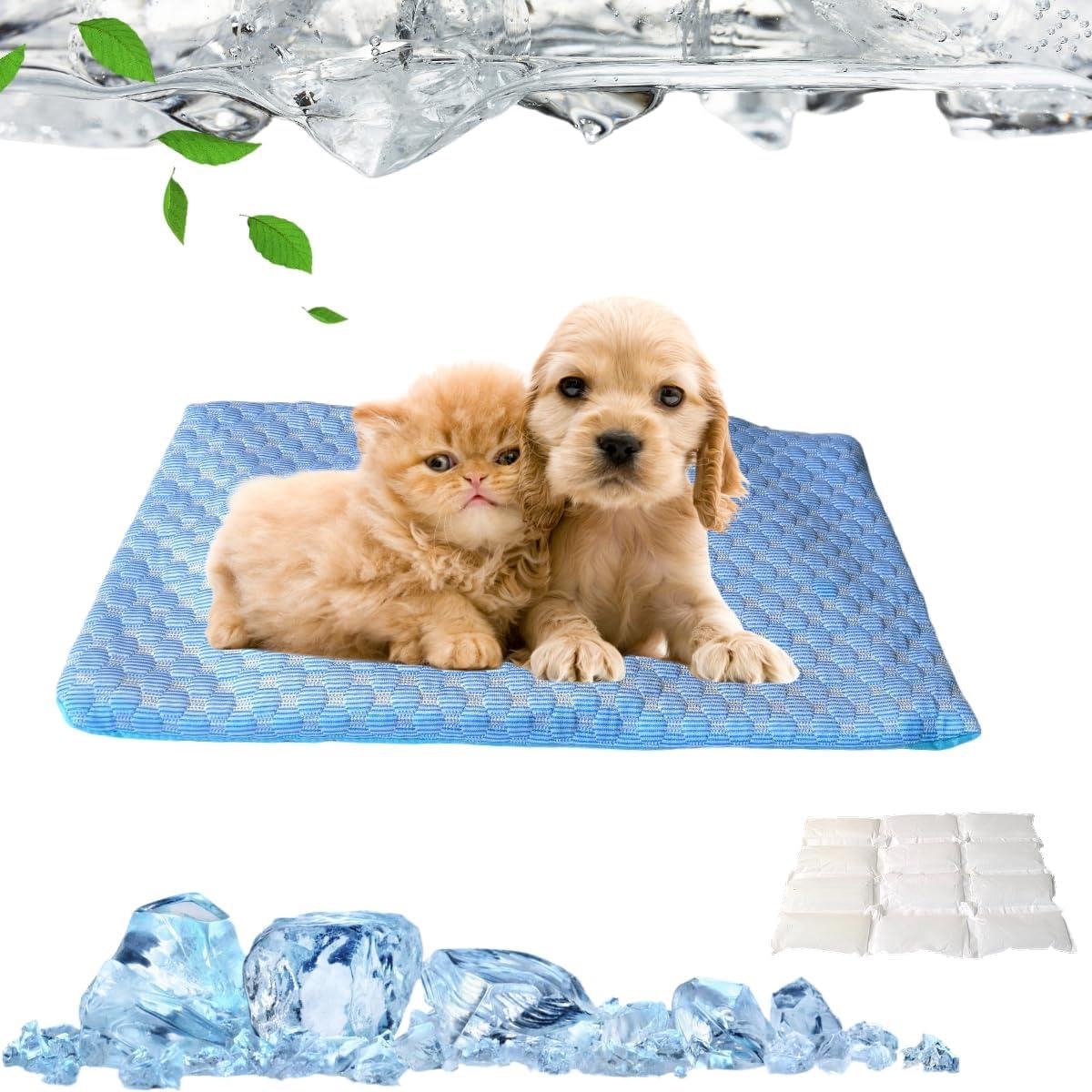 Koelmat Kat - Hondenmat Zomer - Hitte Reguleren - Afneembare Gel - 30 x 50 cm - Blauw