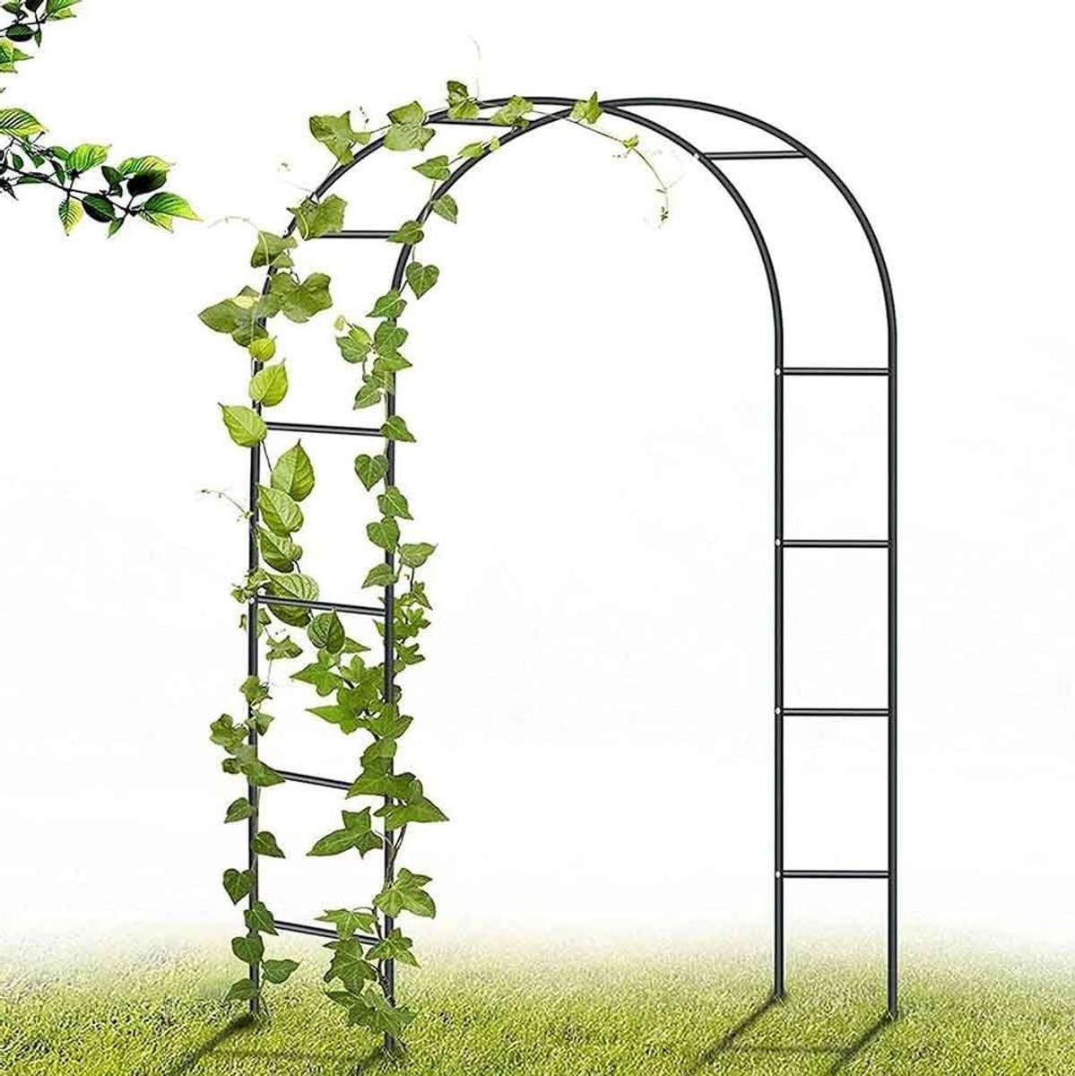 Tuinboog Metaal - Klimplant Ondersteuning - Decoratieve Tuinaanleg - Roestbestendig Staal - 300 x 220 cm - Zwart