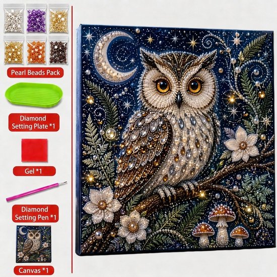 Peinture diamant d'un hibou sur une branche avec lune et étoiles. Comprend perles, plateau, gel, stylo et toile.