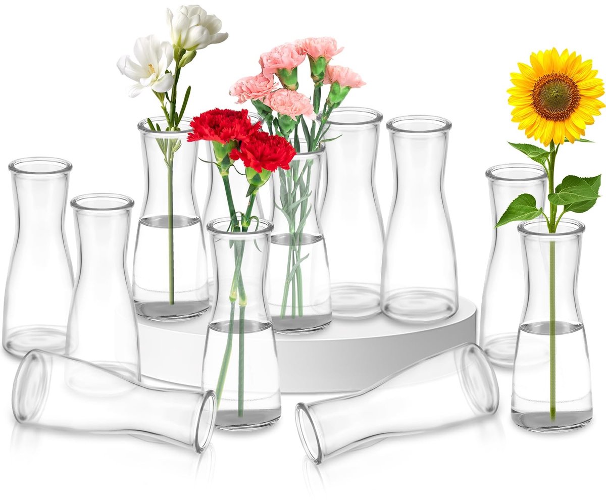 Elzusha - Set van 12 Kleine Glazen Vazen voor Bloemen