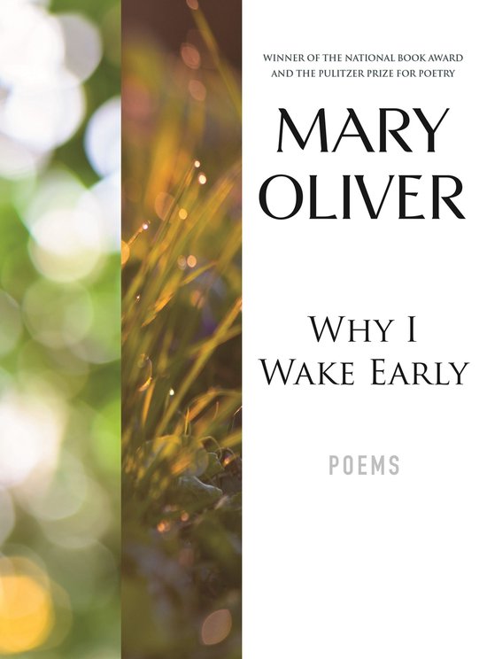 Couverture du livre "Why I Wake Early" de Mary Oliver. Avec un gros plan sur de l'herbe avec des gouttes de rosée et un arrière-plan vert flou.