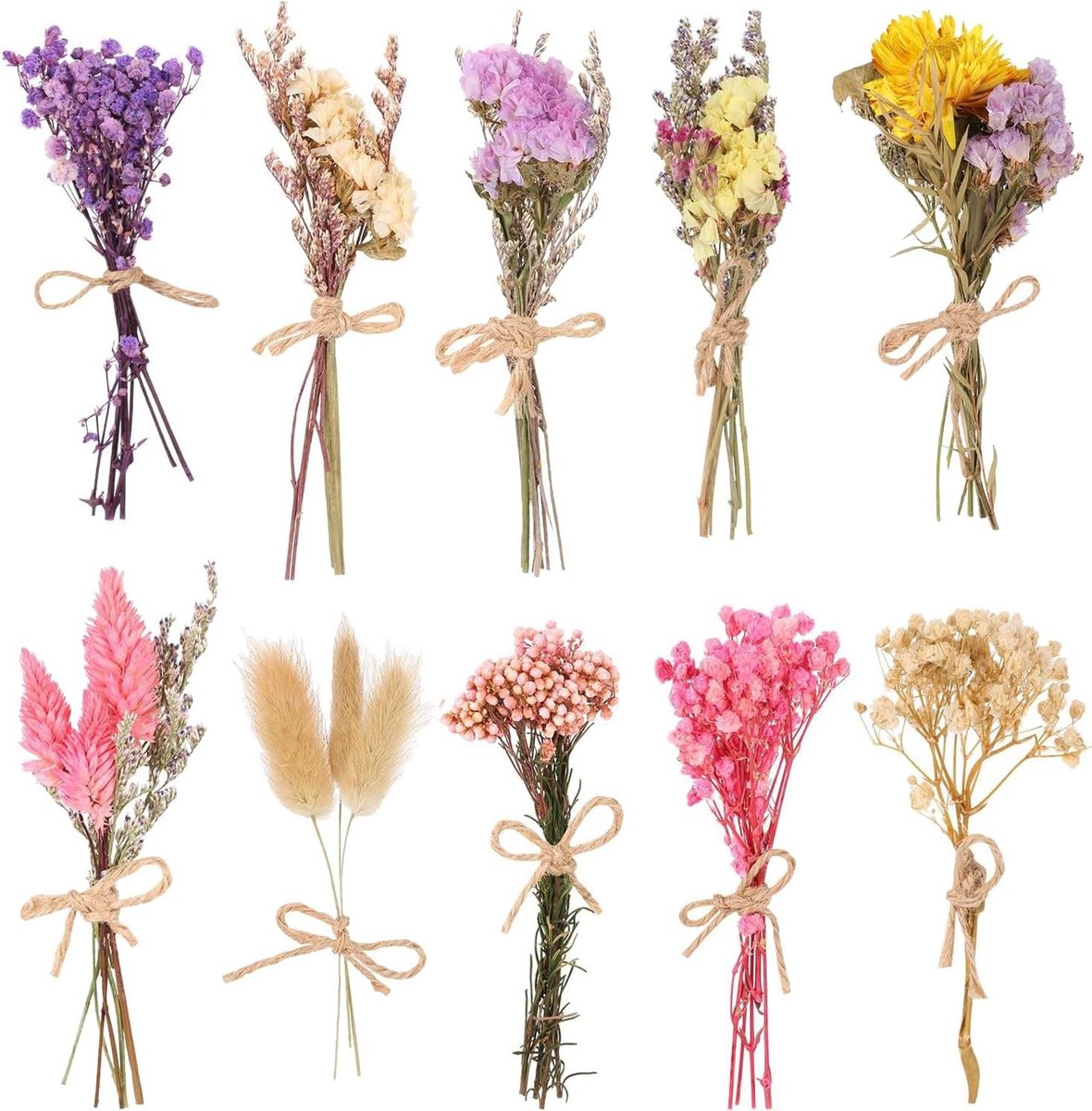 Dried Flowers Boeket van 12 Bundels Natuurlijke Planten voor Thuisdecoratie en Creatieve Klussen in Boho Stijl