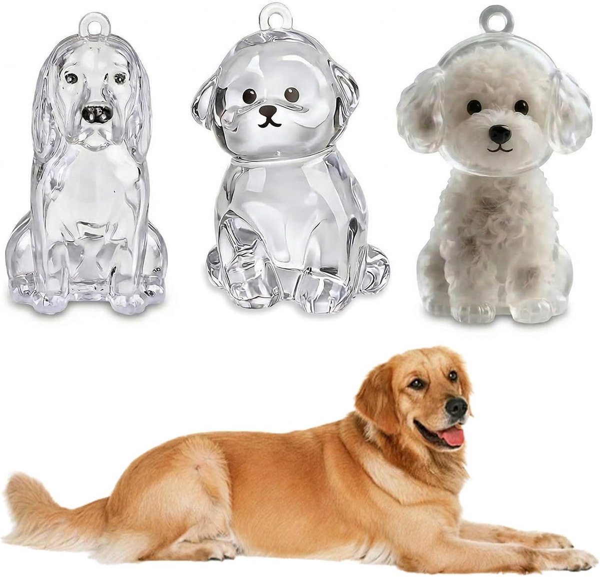 Set van 3 Geheugenhouders voor Hondenhaar, Draagbaar en Plastic voor Hondenliefhebbers, Perfect voor Teddy, Bichon en Golden Retriever