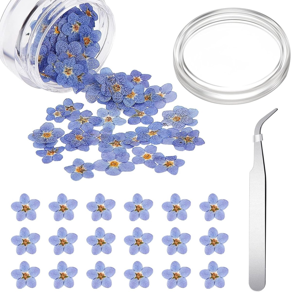 Natuurlijke gedroogde vergeet-mij-nietjes met zilveren elleboogpincet - Echte bloemen voor sieraden, kaarsen en DIY-projecten