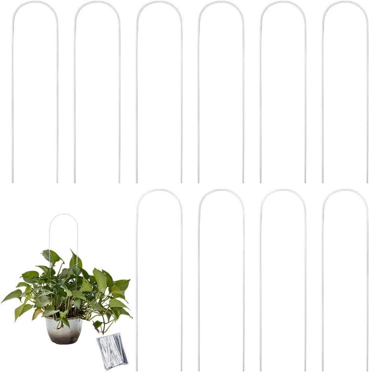 10 Stuks U-vormige Plantengrijp voor Klimplanten, Ondersteuning voor Potplanten, Ideaal voor Monstera en Klimop, Perfecte Tuinaccessoires voor Vines