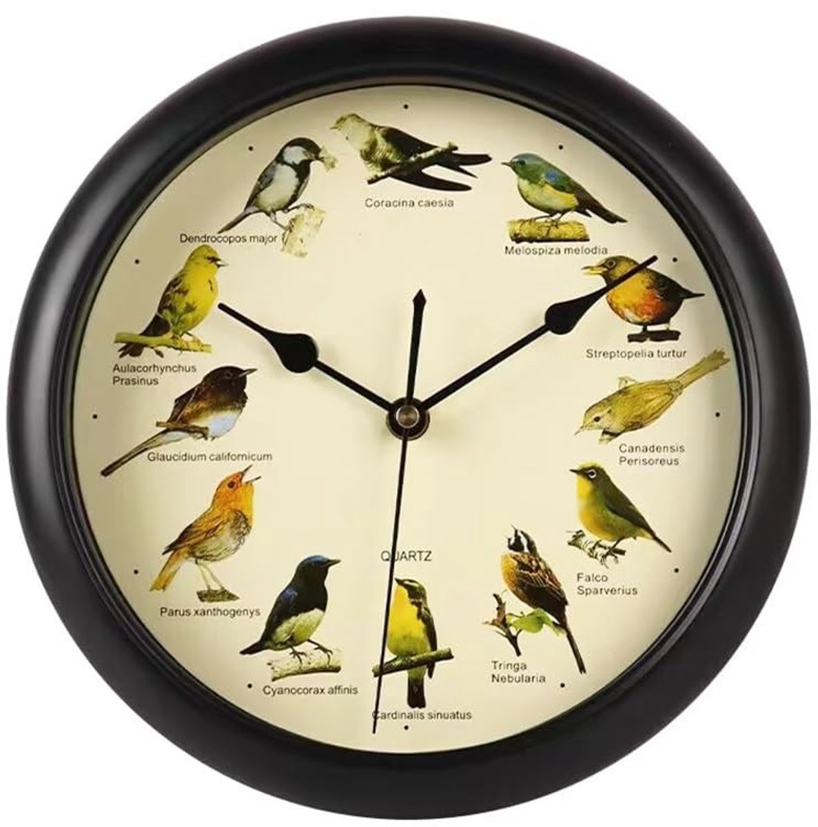Vogelwandklok met 12 verschillende vogelgeluiden - 10 inch