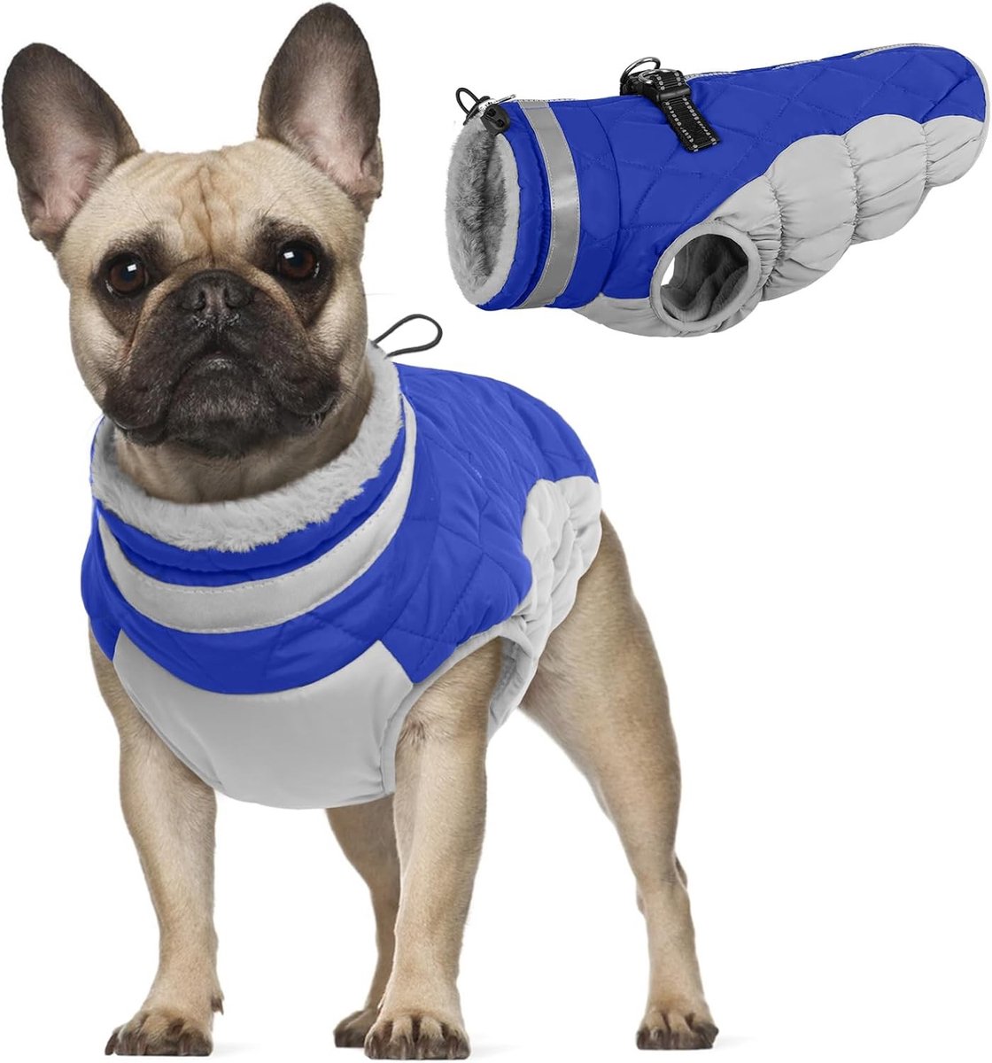 Warm, Waterdicht Fleece Winterjas voor Kleine Honden, Ideaal voor Koud Weer, Met Rits en Verstevigde Voering, Perfect voor Wandelen en Buitenspelen (Blauw, XS)