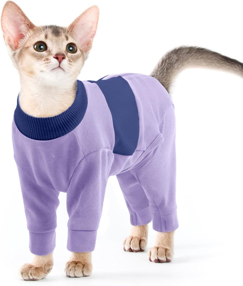 Zachte Kattentrui voor Winter, Herstelpak voor Katten na Operatie of Blessure, Comfortabele Overall in Paars (Maat S)