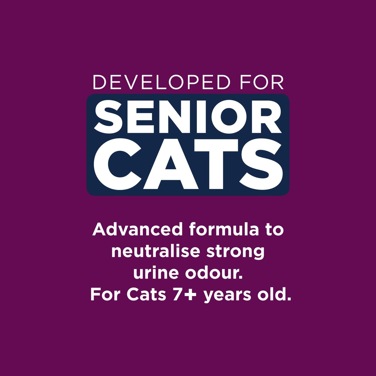 SnelShoppen - Ever Clean Senior Kat Klonterig Kattenbakvulling 20L - Super Absorberend, Geur Neutraliserend, Ideaal voor Oudere Katten