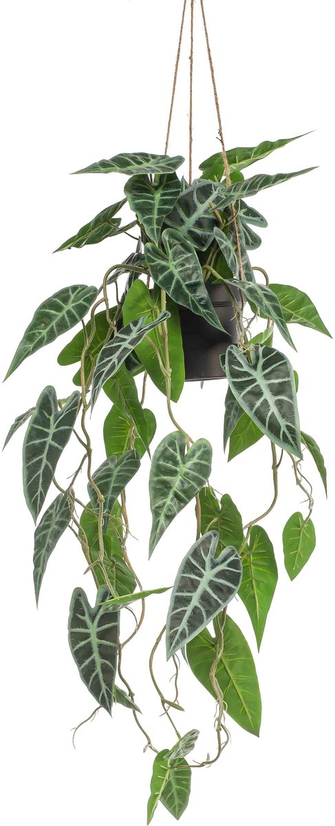 Emerald Kunst Hangplant in pot Alocasia 80cm - Kunstplant voor binnen Groen