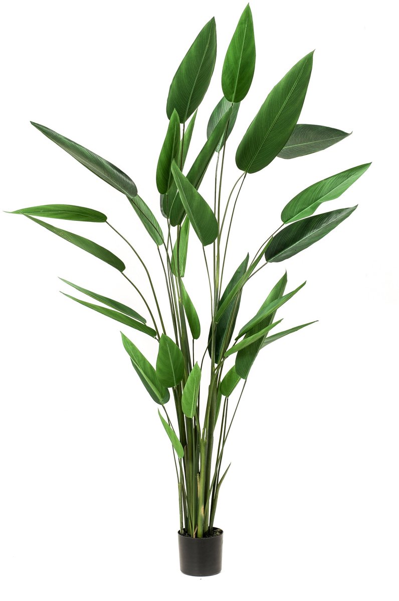 Emerald Kunstplant Heliconia 220cm - Kunstplant voor binnen Groen