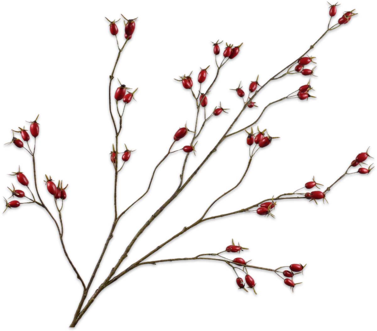 Silk-ka Kunstbloem-Zijden Bloem Rozenbottel Tak Rood 126 cm