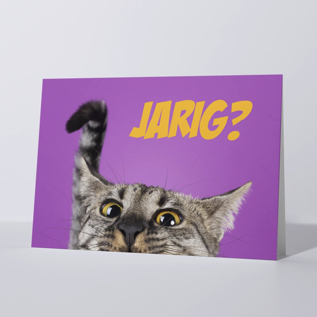 CAT'CHY Cards - wenskaart - verjaardag - kat - savannah