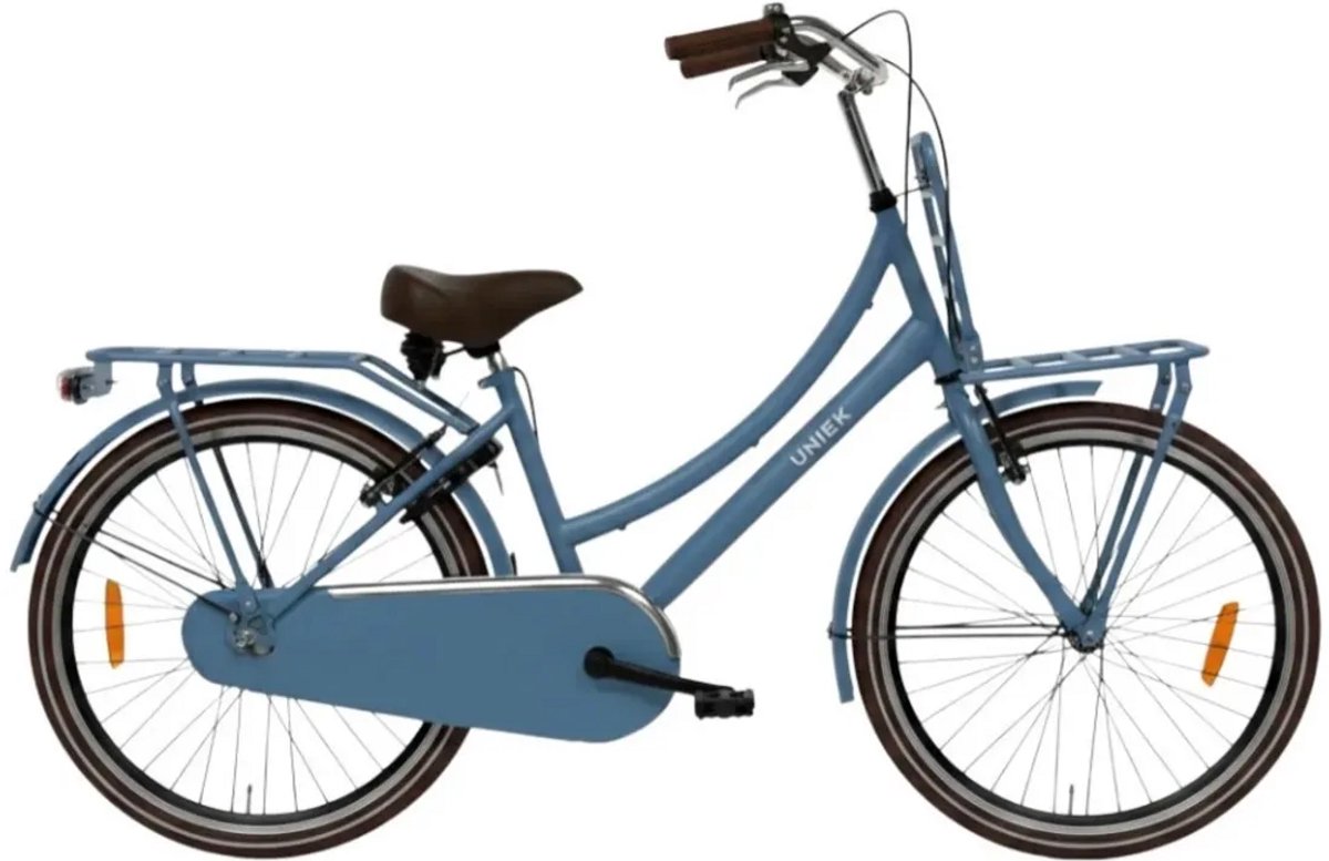 Transportfiets Uniek Dutch Cargo 24'' 1N Mat Blauw