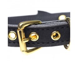 Master Series Golden Kitty Collar Met Kattenbelletje - Zwart/Goud
