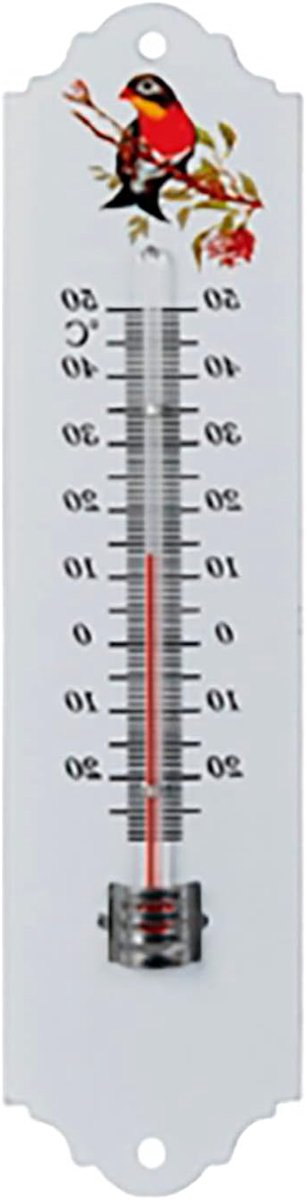 Analoge Binnen- en Buitenklok - Weerbestendige Metaalthermometer 20cm