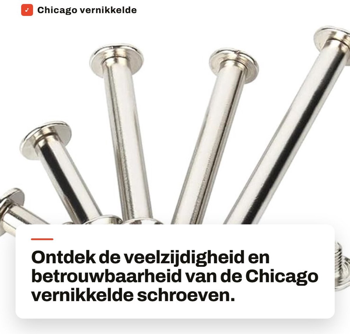Dailygoods- Schroeven Vernikkeld - M5 x 95 mm - 6 Stuks - Duurzaam Koolstofstaal - Roestbestendig - Eenvoudig te Installeren - Bevestigingsmateriaal