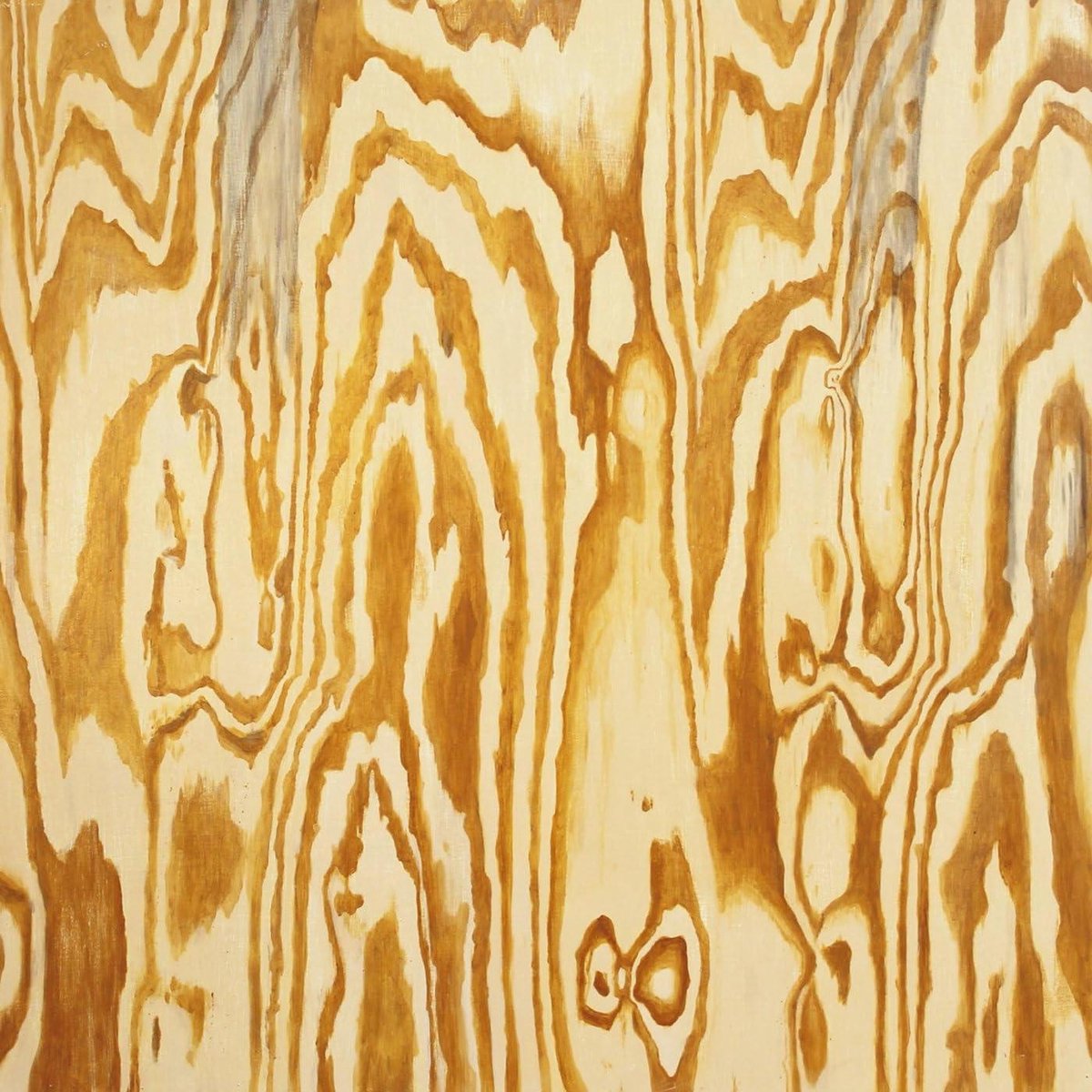 Houten Aquarium - Muziekalbum - Luisterplezier - Originele Uitgave - 143 cm - Niet gespecificeerd