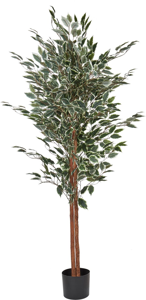 Beliani FICUS TREE - Kunstplant - Groen - 167 cm - Synthetisch materiaal