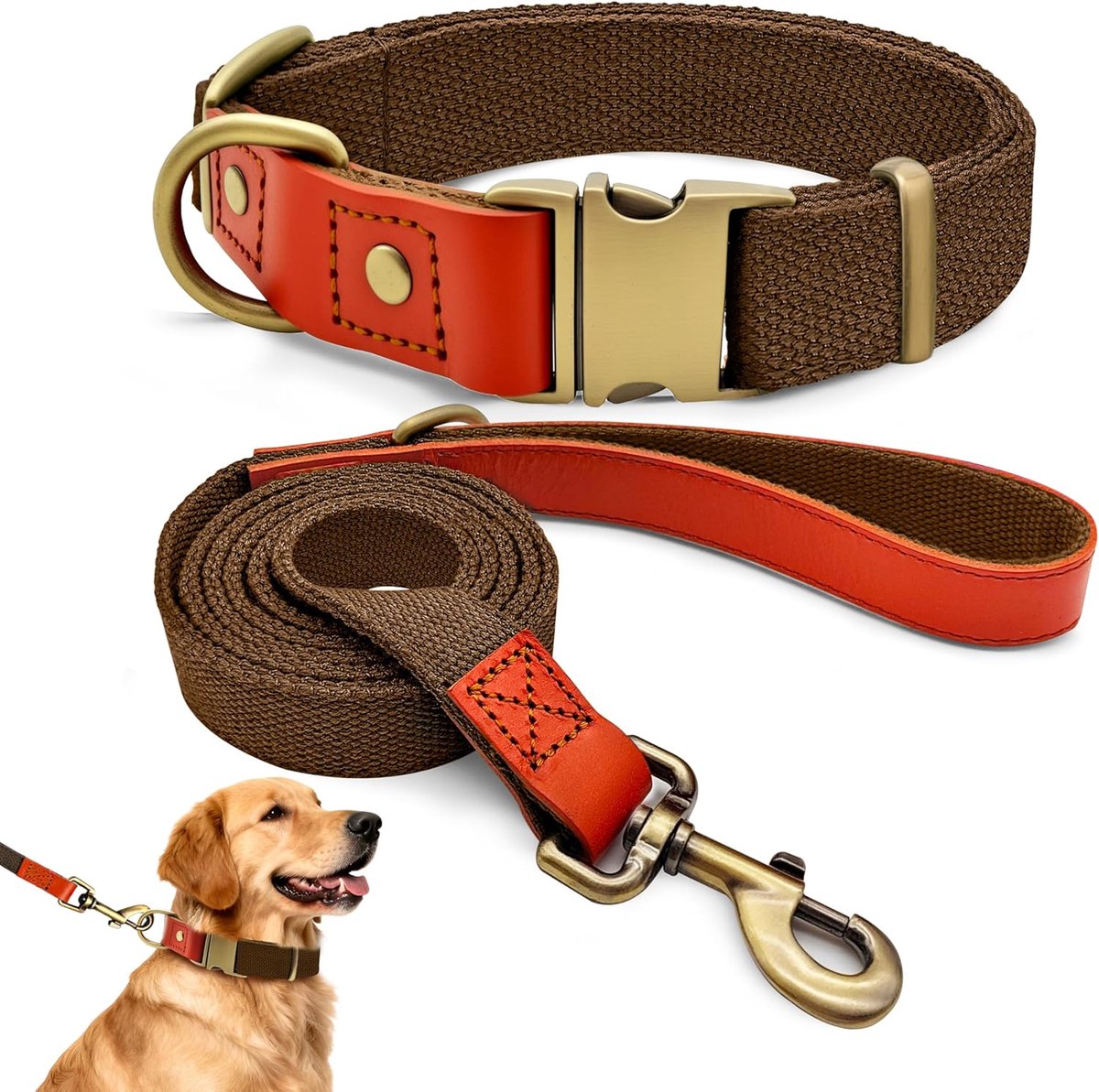 SnelShoppen - Dog Collar & Leash Set Combinatie - Verstelbare Hondenhalsband en Leash voor Kleine, Middelgrote en Grote Honden - Robuust en Ademend -