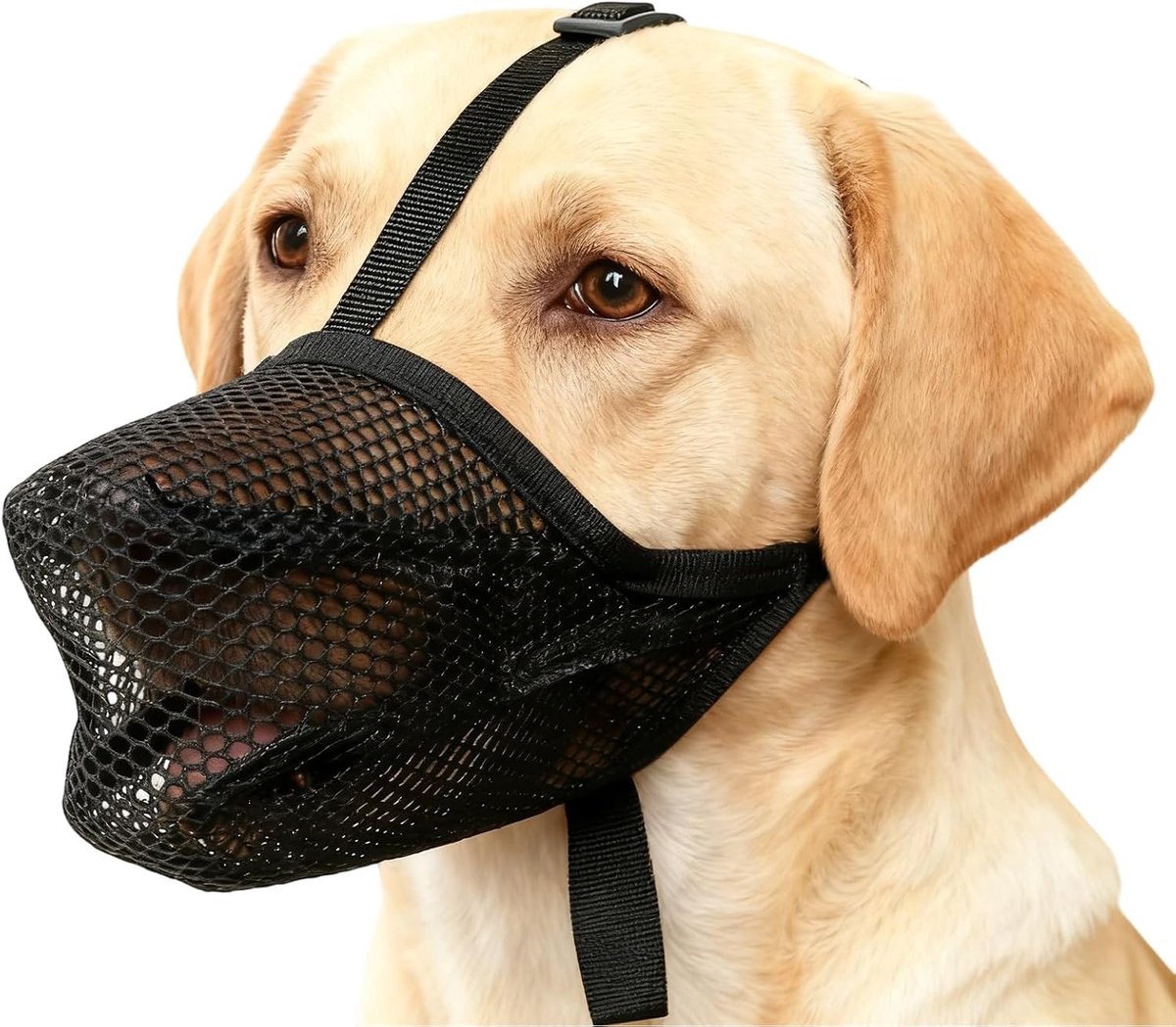 Verstelbare nylon muilkorf voor honden maat M, herbruikbaar en veilig tegen bijten en opname van vreemde voorwerpen