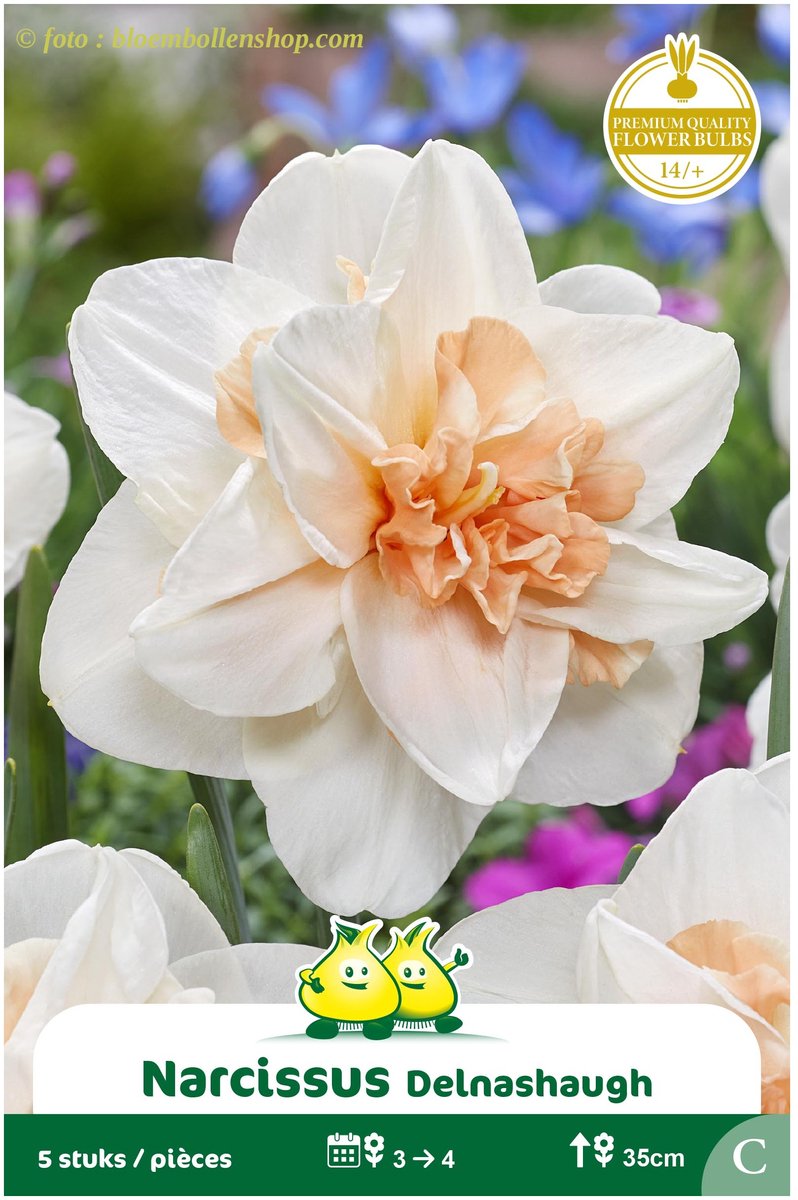 3 Zakjes Dubbele Narcis Delnashaugh maat 14/+