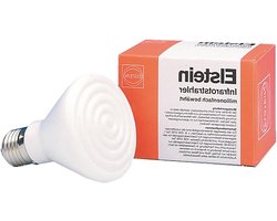 Infrarood Lamp - Warmtelamp Reptielen - Terrarium Verwarmen - Eenvoudige Aansluiting - 100 Watt - Zwart