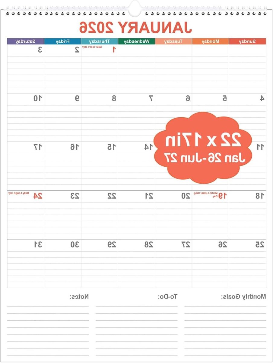 Bureaukalender 2025-2026 - Maandkalender Planning - Afspraken Plannen - Ruime Dagelijkse Blokken - 43 x 43 cm - Kleurrijk