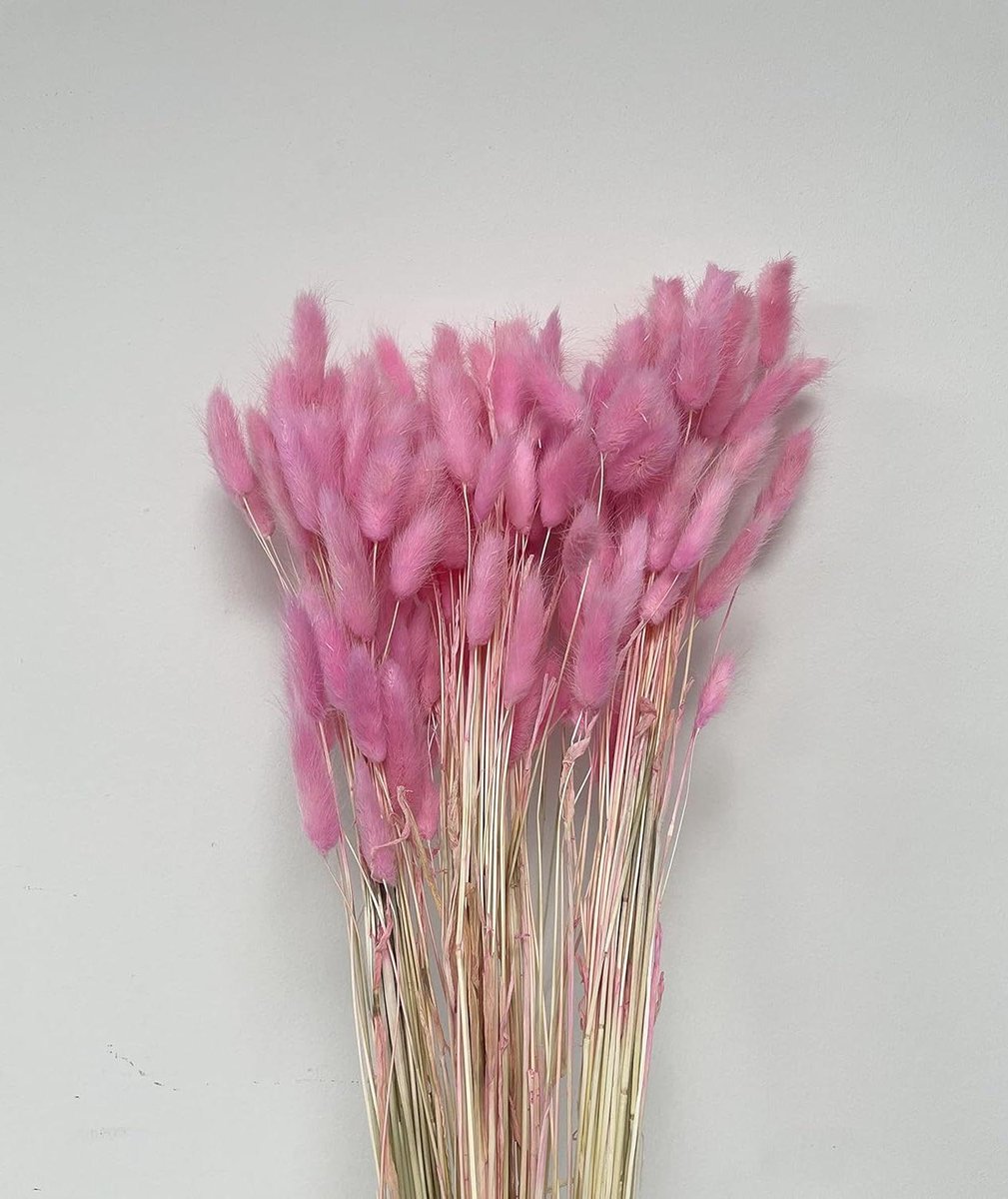 Gedroogde Gras Stengels - Konijnenstaart Gras - Bruiloft Decoratie - Natuurlijk Gedroogd Materiaal - 60 stuks 55cm - Baby Roze