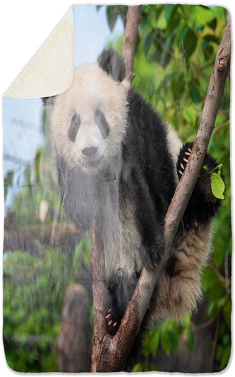 Fleecedeken Panda, 96x146cm, Polyester Sherpa, FD2025014