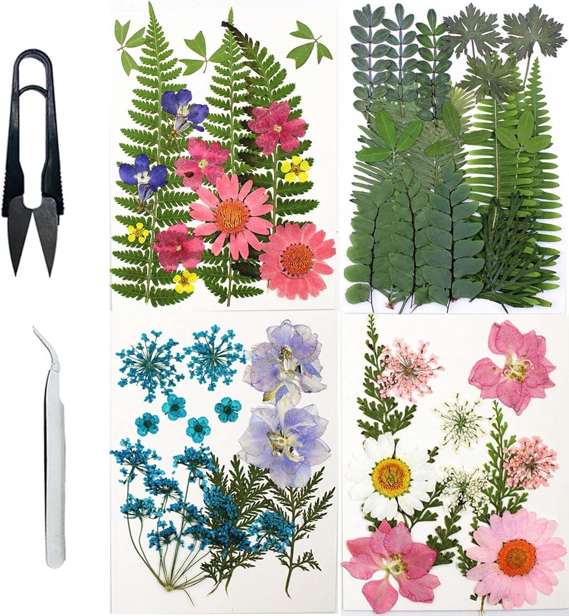Gedroogde Bloemen Set - Natuurlijke Decoratie - Hars Knutselen - Levendige Kleuren - 58 Stuks - Gemengd
