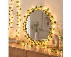 Lynn's Led Botanisch Lichtsnoer - Gestreepte Groene Blaadjes - 5 Meter - 50 Lampjes - Warm Wit - Batterij - Fairy Lights