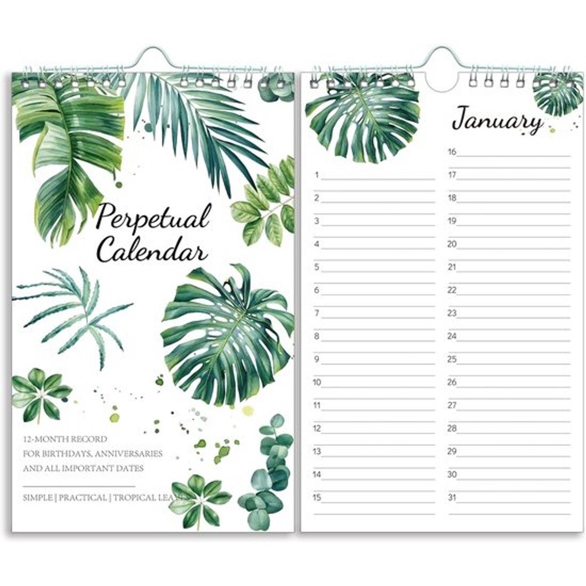 Eeuwigdurende Ongedateerde Kalender 12 Maanden - Verjaardagen en Herinneringen bijhouden - 6x10 - 2 Lijnen per Dag - Dubbeldraads Binding - Dik Papier - Tropisch Design