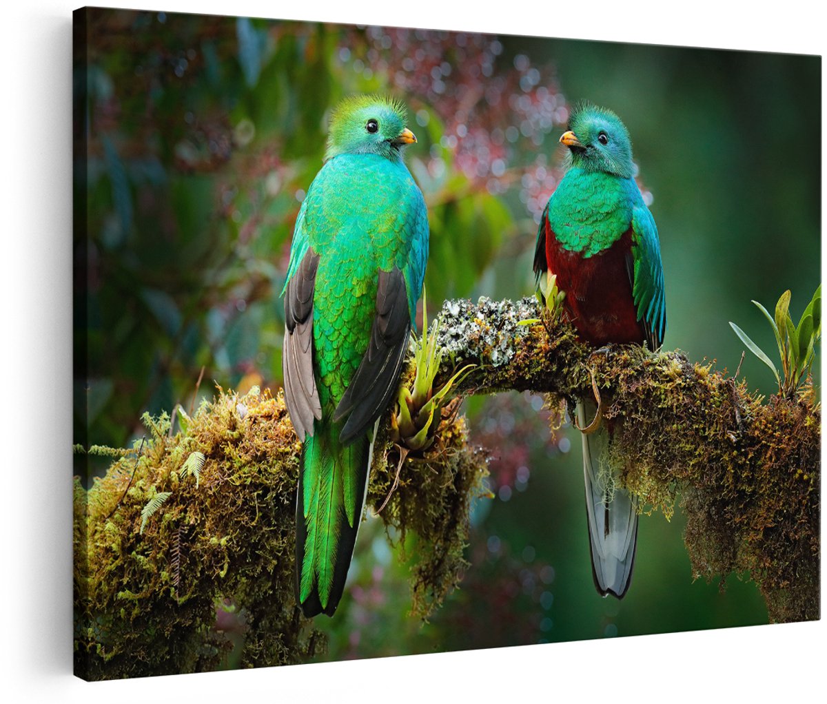 Artaza Canvas Schilderij Twee Groene Quetzal Vogels Op Een Tak - 180x120 cm - Groot - Foto Op Canvas - Wanddecoratie Woonkamer