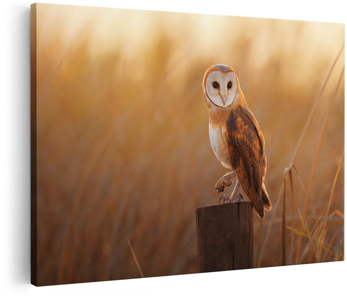 Artaza Canvas Schilderij Kerkuil Op Een Boomstronk - 180x120 cm - Groot - Foto Op Canvas - Wanddecoratie Woonkamer
