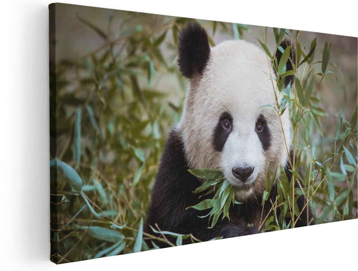 Artaza Canvas Schilderij Panda Eet Planten - 180x90 cm - Groot - Wanddecoratie Woonkamer - Schilderijen - Muurdecoratie