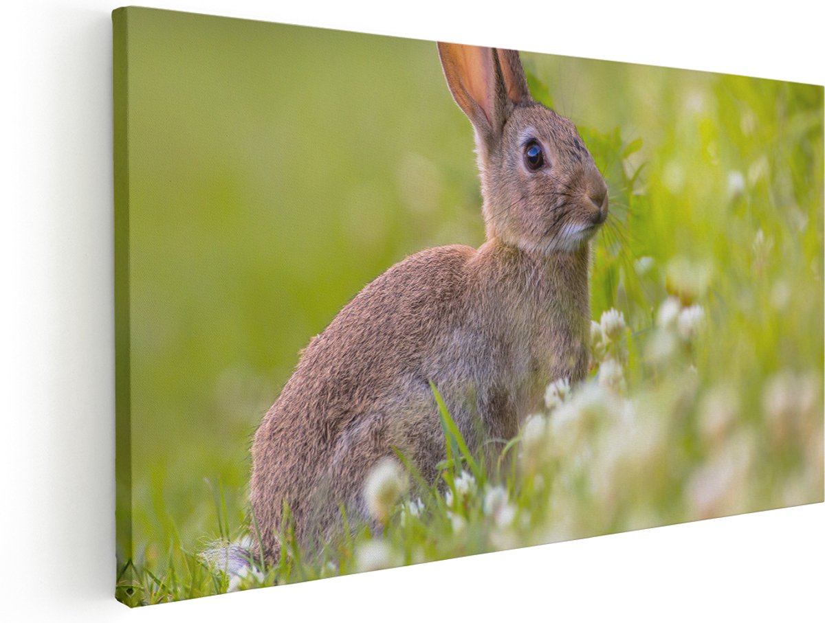 Artaza Canvas Schilderij Konijn Tussen De Witte Bloemen - 180x90 cm - Groot - Wanddecoratie Woonkamer - Schilderijen - Muurdecoratie