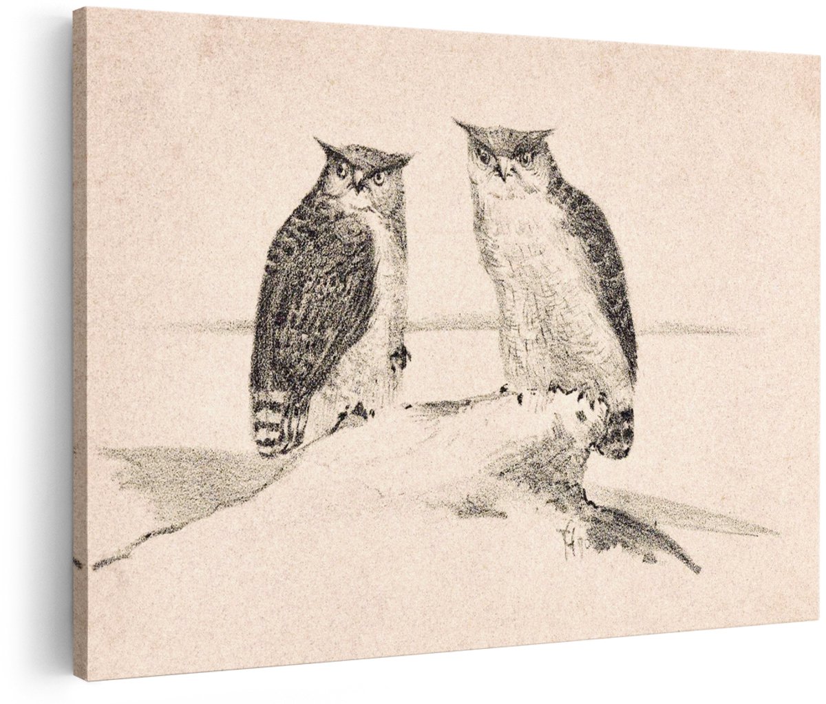 Artaza Canvas Schilderij Uilen - 180x120 cm - Groot - Wanddecoratie Vogels - Muurdecoratie Vintage - Schilderij Dieren - Kamer Accessoires